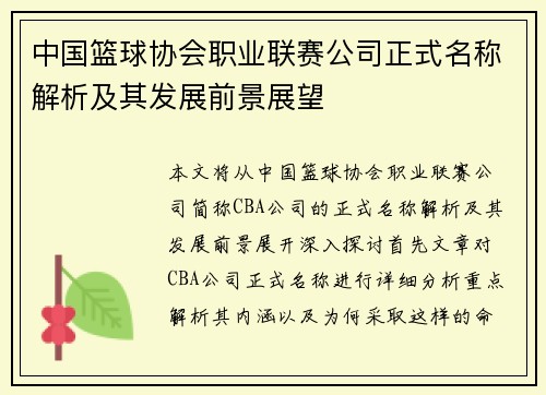 中国篮球协会职业联赛公司正式名称解析及其发展前景展望